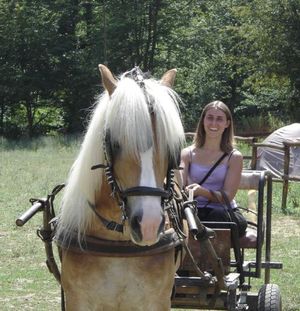 Mon 2me cours d'attelage ! Avec un cheval nomm Kraft Nordtyrol, de l'levage de Mr Chauvin  Roche (Isre).