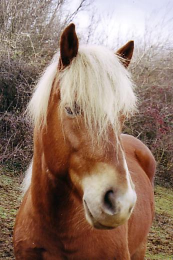 On prend la pose, et hop ! Un petit portrait.