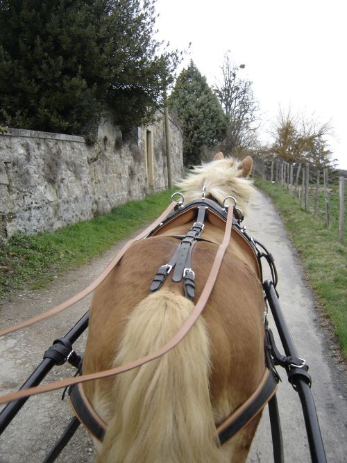 Les fesses de Loresko en plein effort !